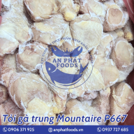 TỎI GÀ TRUNG MOUNTAIRE P667