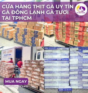CỬA HÀNG THỊT GÀ ĐÔNG LẠNH GÀ TƯƠI GIÁ RẺ CHO ĐƠN VỊ KINH DOANH 