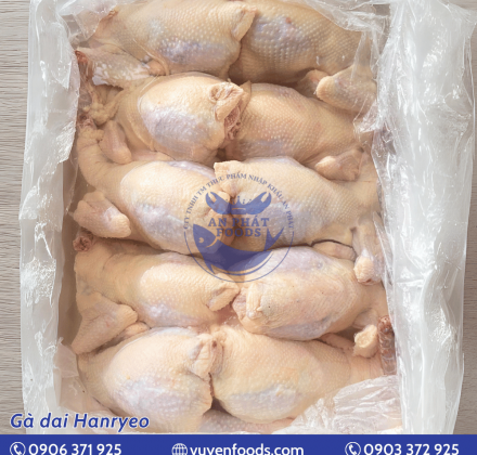 GÀ DAI HÀN QUỐC HANRYEO 10 CON