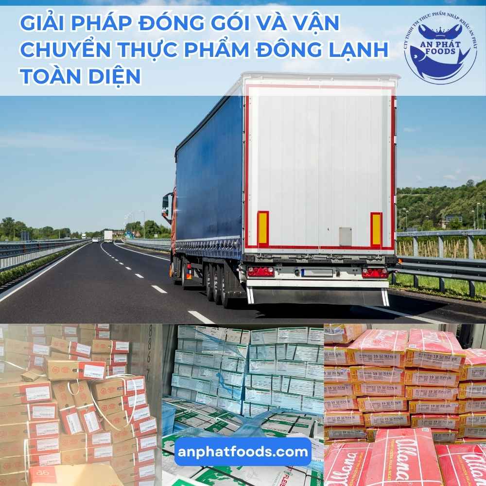 giai%20phap%20dong%20goi%20va%20van%20chuyen%20thuc%20pham%20dong%20lanh%20toan%20dien.jpg